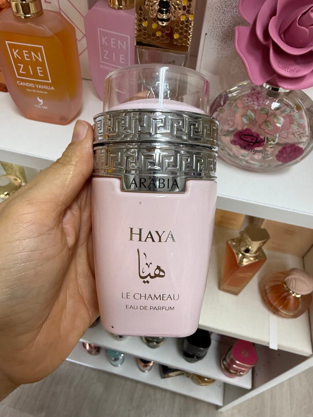 Chic Beauty and Cosmetics 11 Haya de Le Chameau