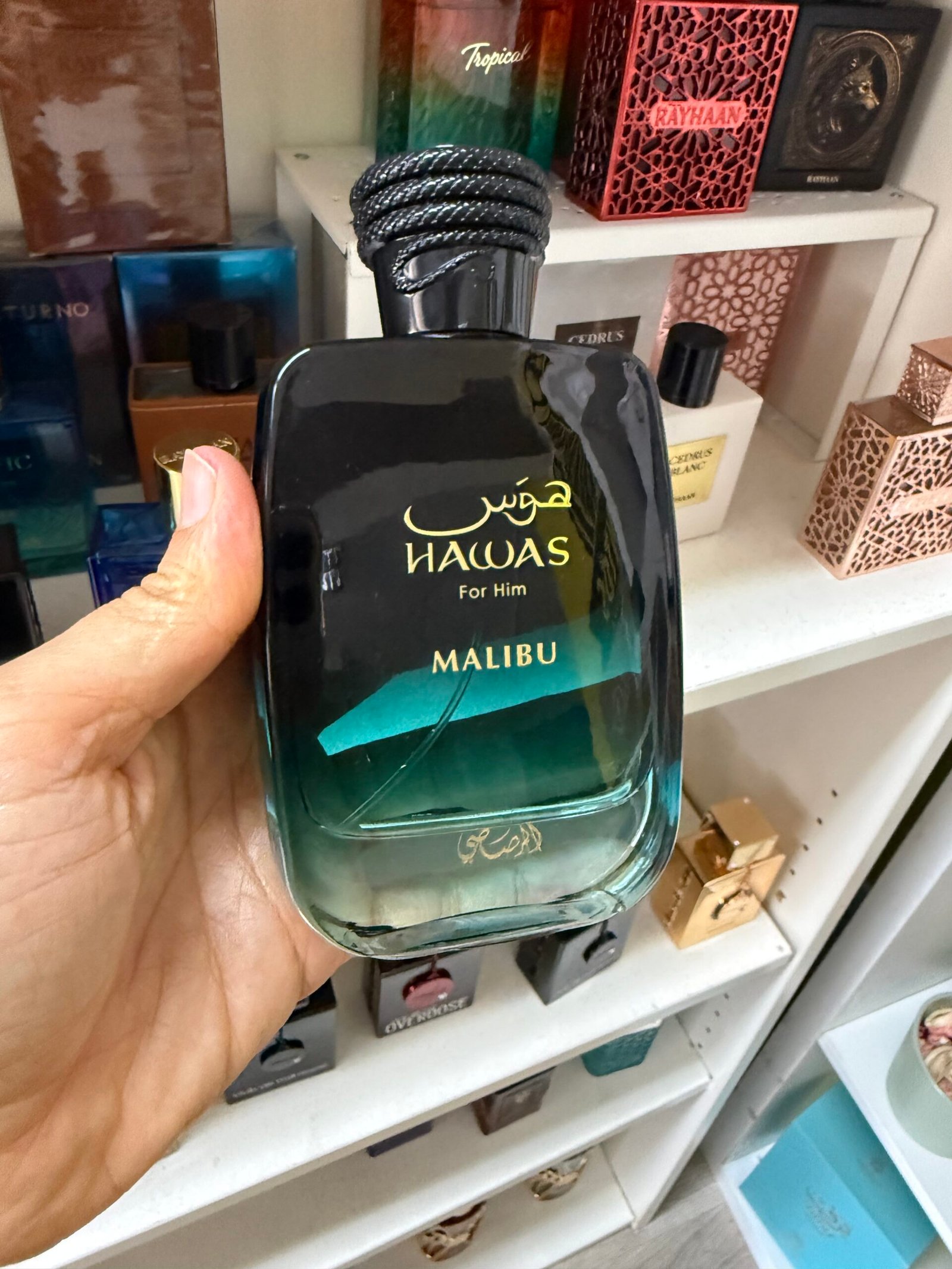Hawas Malibu - Image 1
