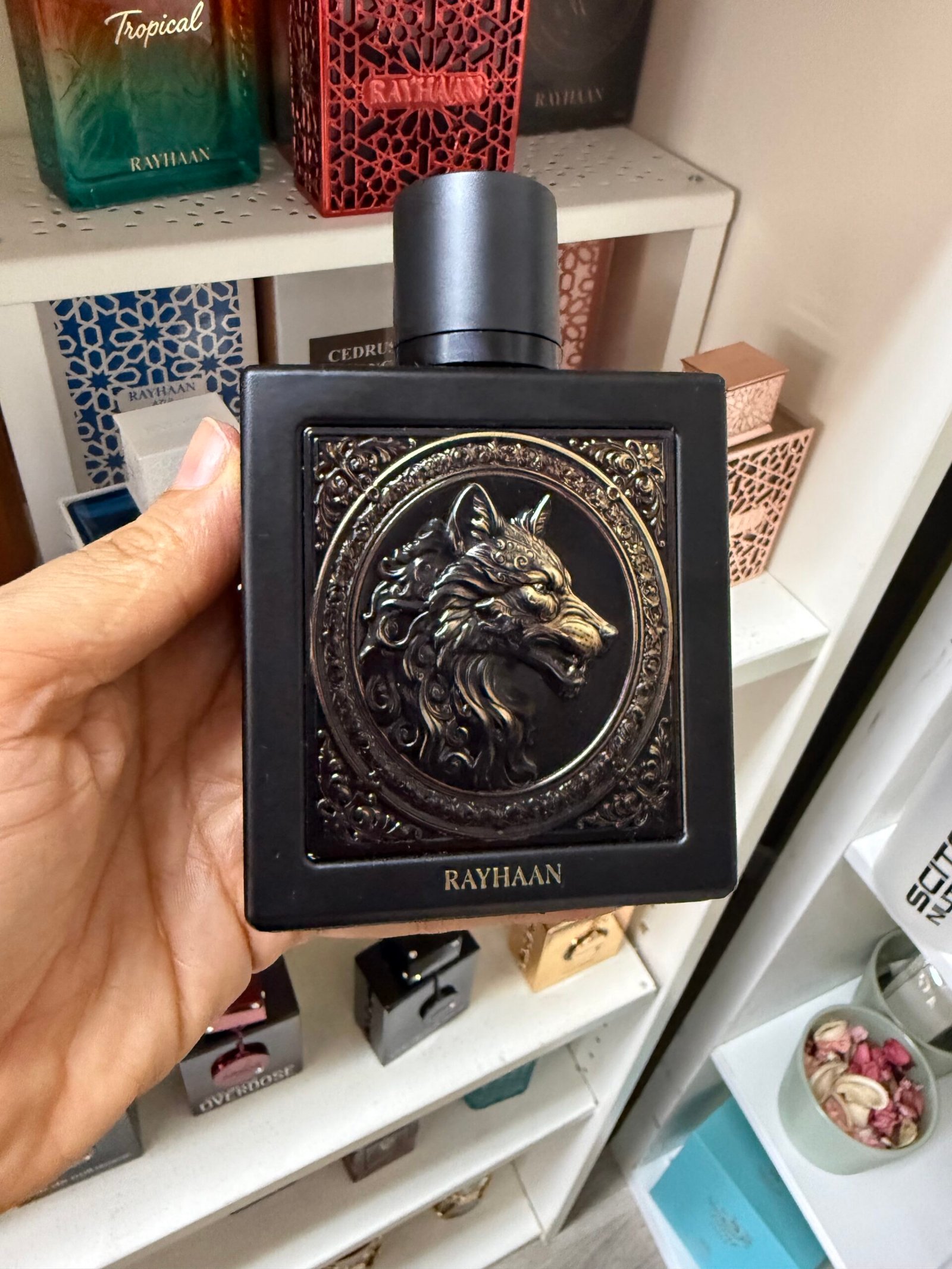 Rayhaan Wolf - Image 1