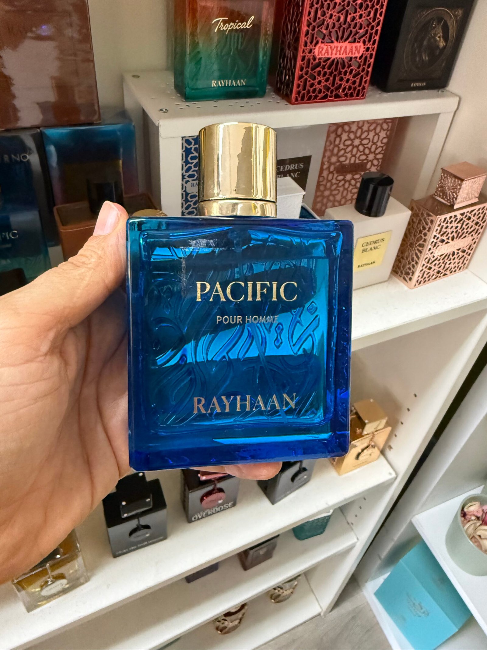 Rayhaan Pacific - Image 1